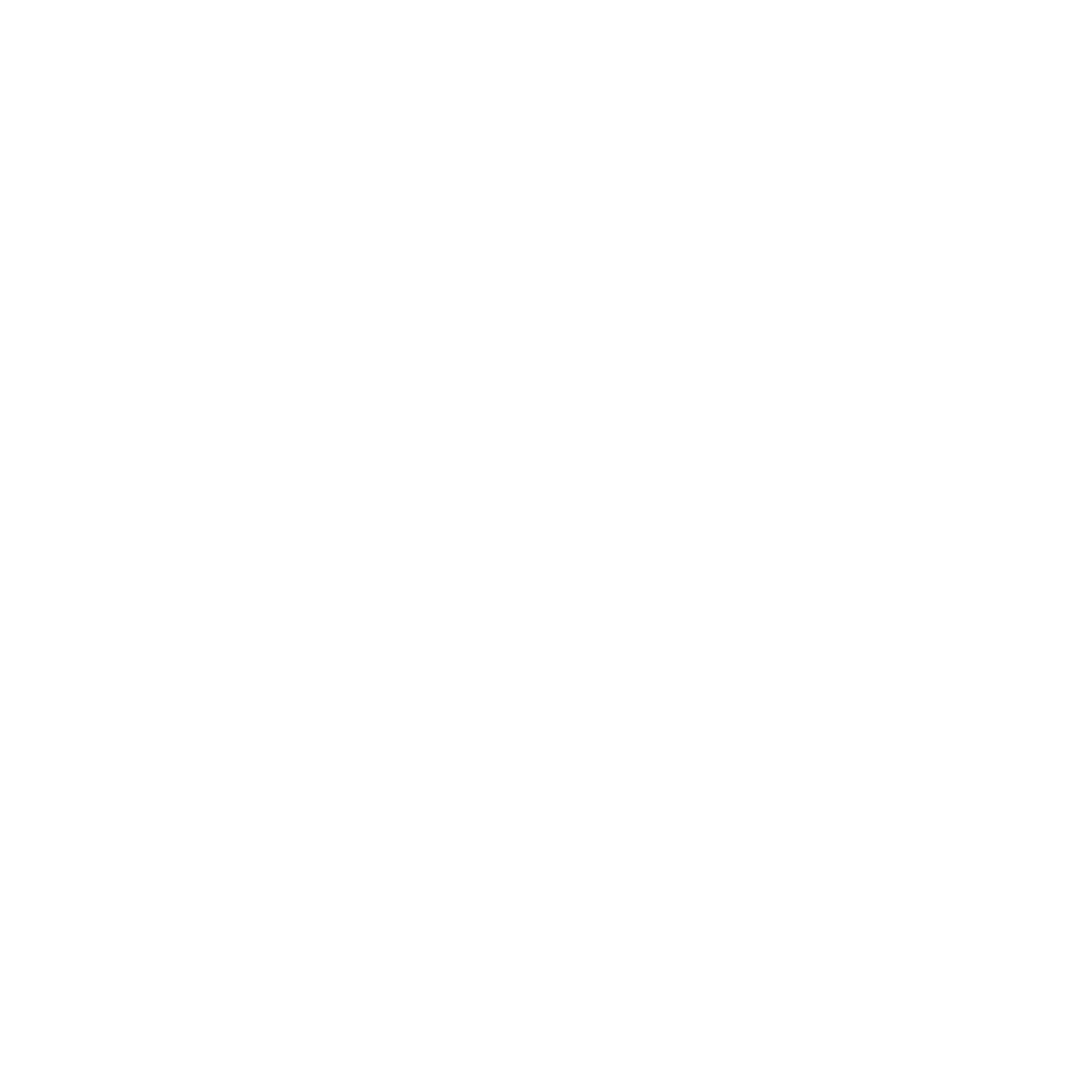 White Logo PNG